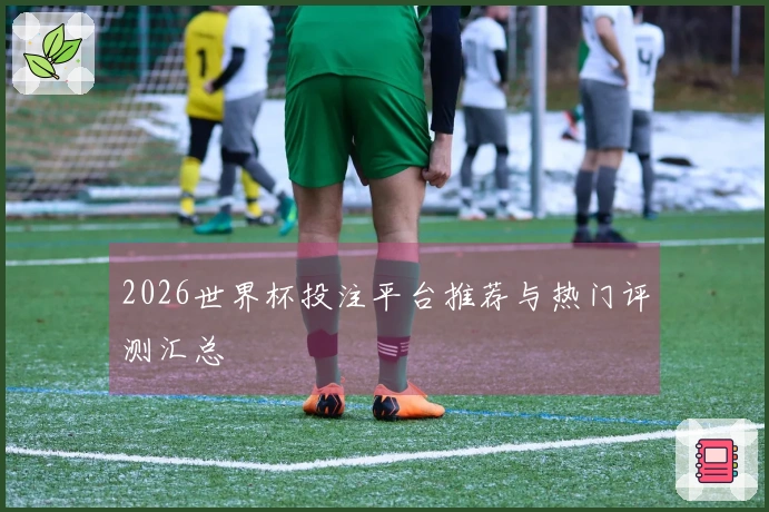 2026世界杯投注平台推荐与热门评测汇总