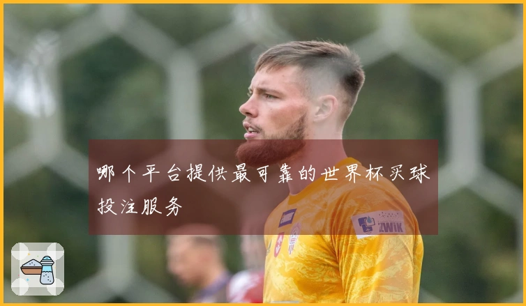 哪个平台提供最可靠的世界杯买球投注服务