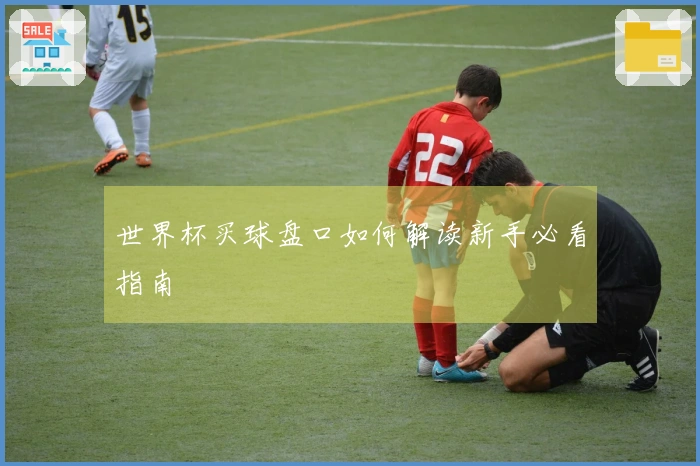 世界杯买球盘口如何解读新手必看指南