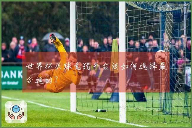 世界杯买球竞猜平台该如何选择最合适的？