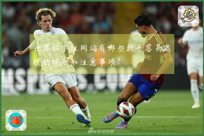 世界杯下注网站有哪些新手容易忽视的规则和注意事项？