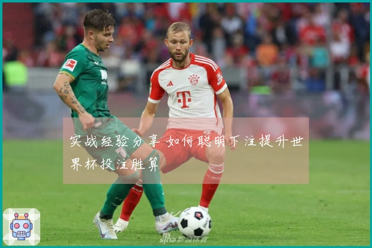 实战经验分享 如何聪明下注提升世界杯投注胜算