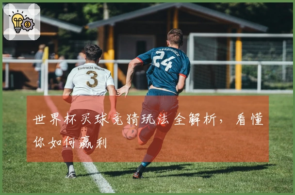 世界杯买球竞猜玩法全解析,看懂你如何赢利