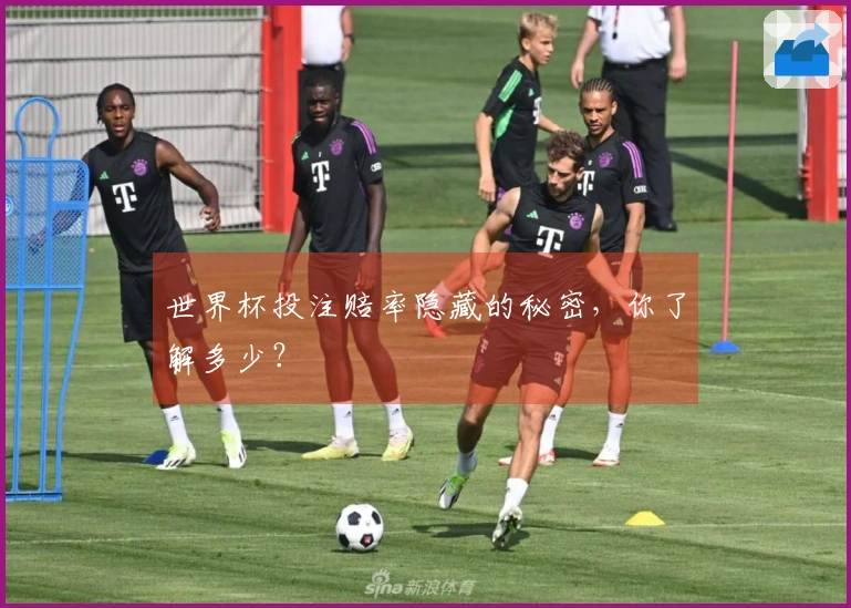 世界杯投注赔率隐藏的秘密，你了解多少？