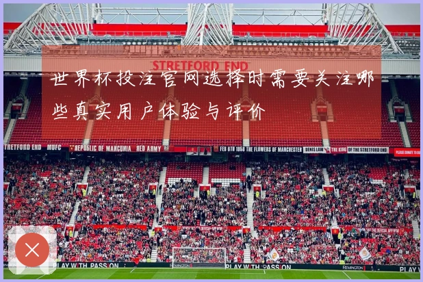 世界杯投注官网选择时需要关注哪些真实用户体验与评价