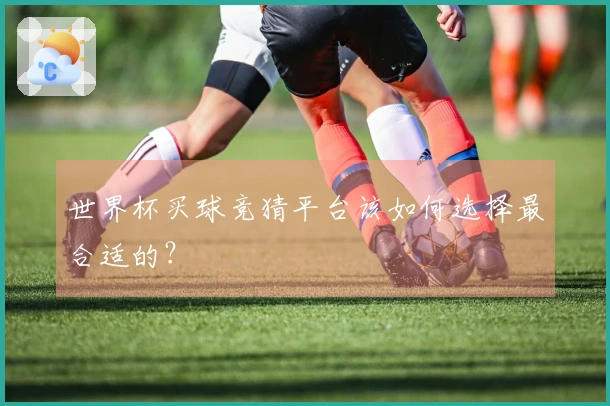 世界杯买球竞猜平台该如何选择最合适的？