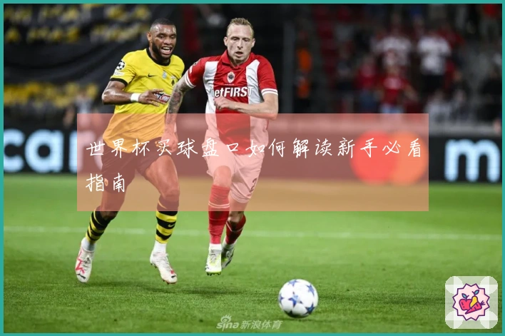 世界杯买球盘口如何解读新手必看指南