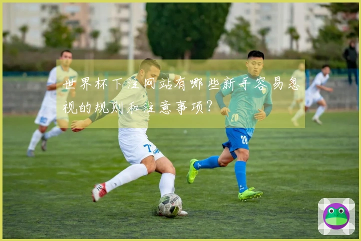 世界杯下注网站有哪些新手容易忽视的规则和注意事项？