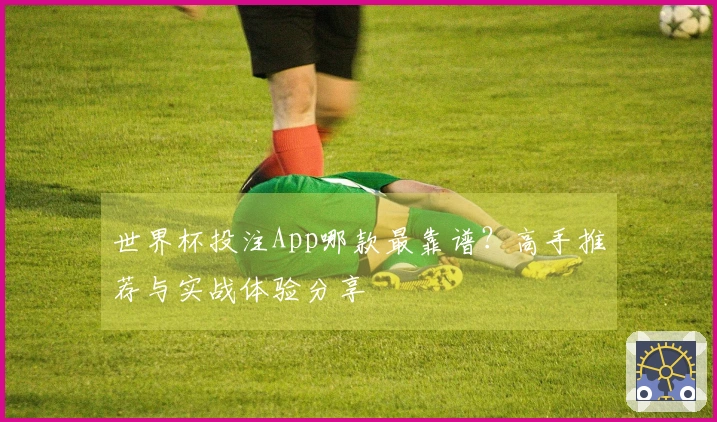 世界杯投注App哪款最靠谱?高手推荐与实战体验分享