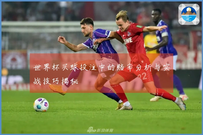 世界杯买球投注中的赔率分析与实战技巧揭秘